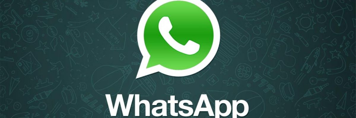 WhatsApp הופכת חינמית באמת ויש דיבורים על שירותים חדשים שיגיעו