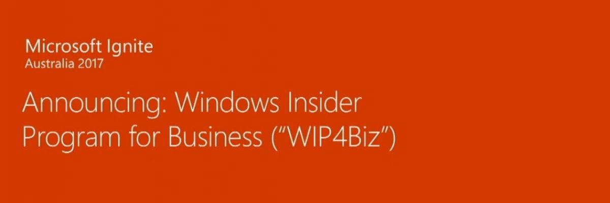 WIP4Biz: Windows Insider מגיע בחבילה לעסקים